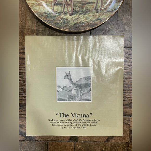 The Vicuna Collectors Plate - Picture 3 of 4